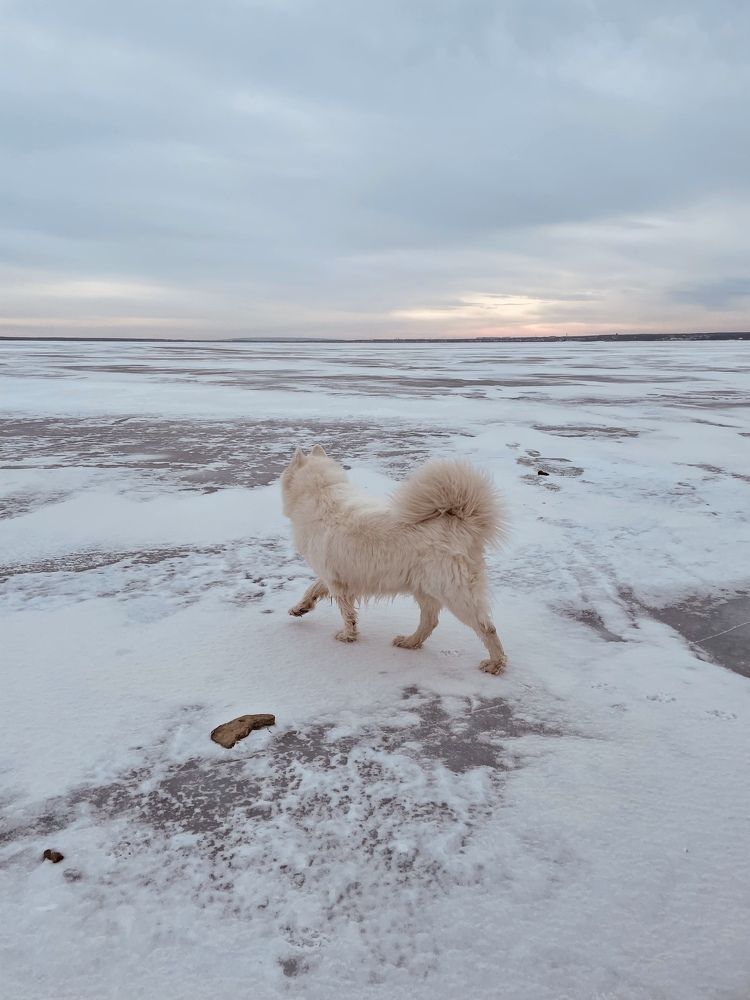 Photograph by Карина Лисина