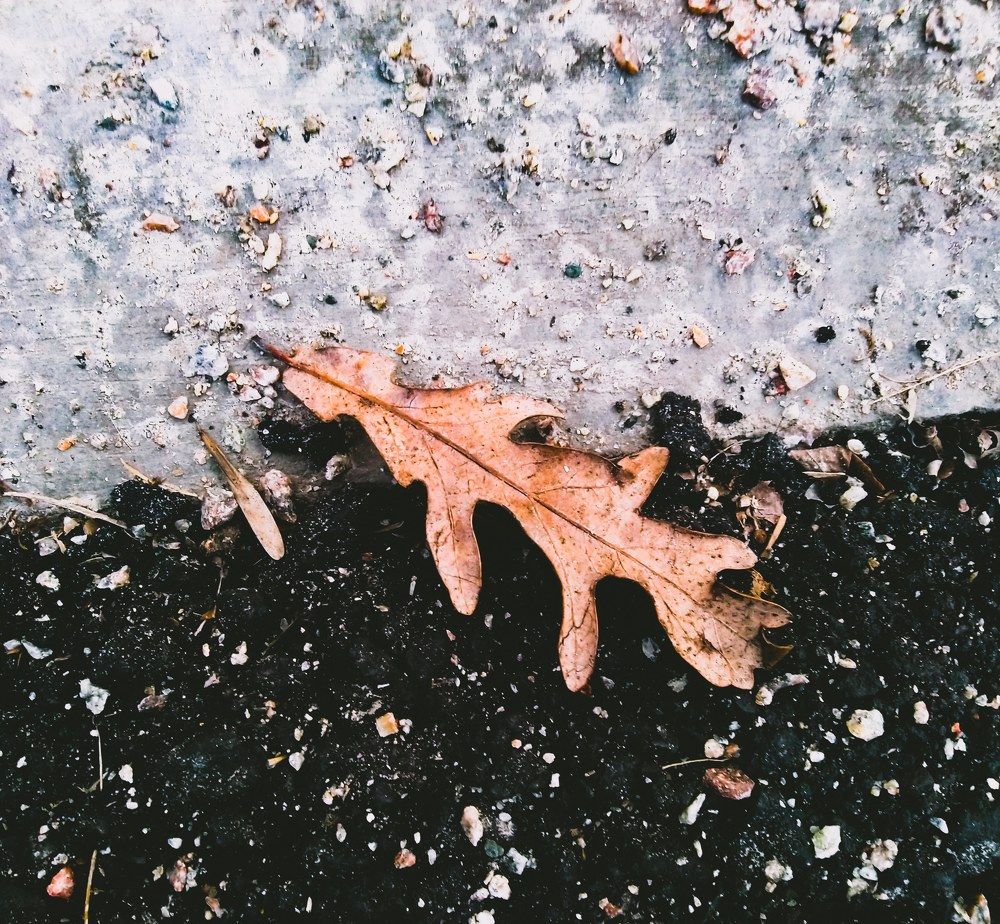 Photograph by Катерина Красилюк