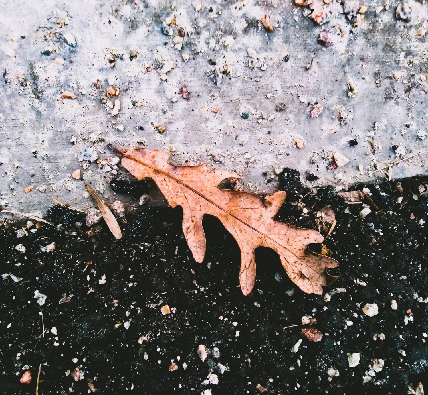 Photo #7380011