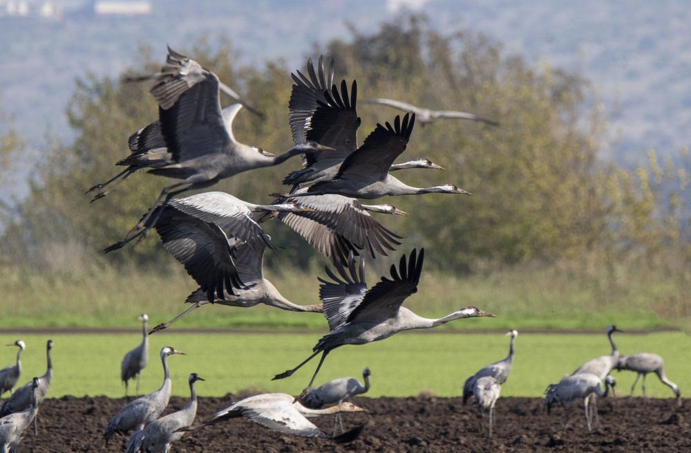 Photograph by Валентина Лопаткина