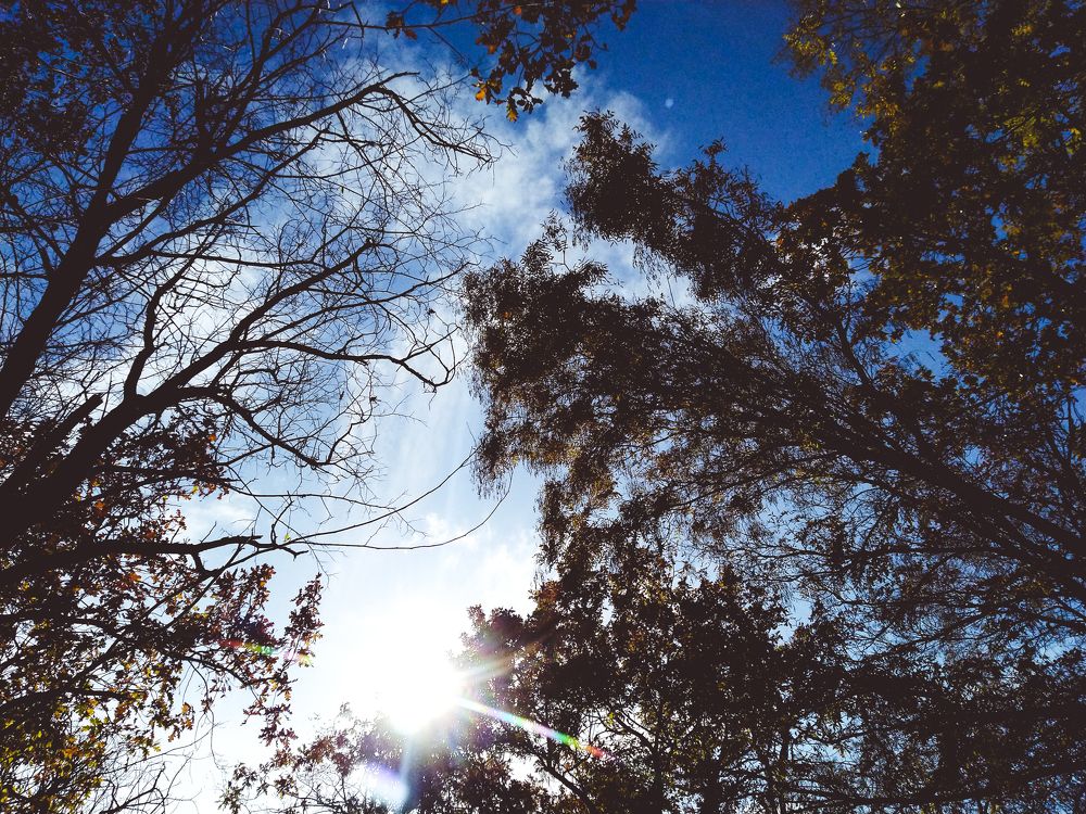 Photo #7380044