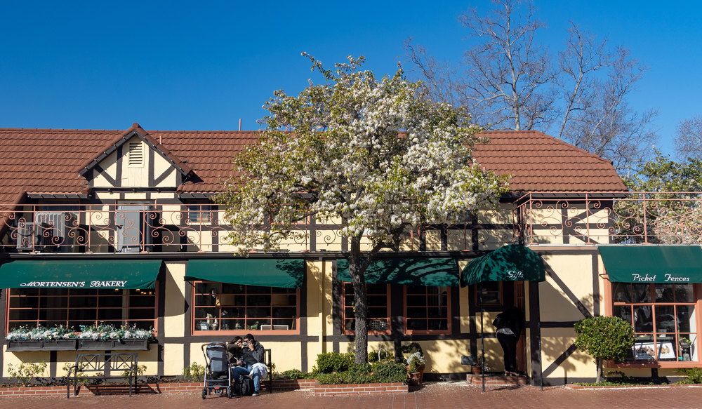 Photograph by Olga Serebryannaya