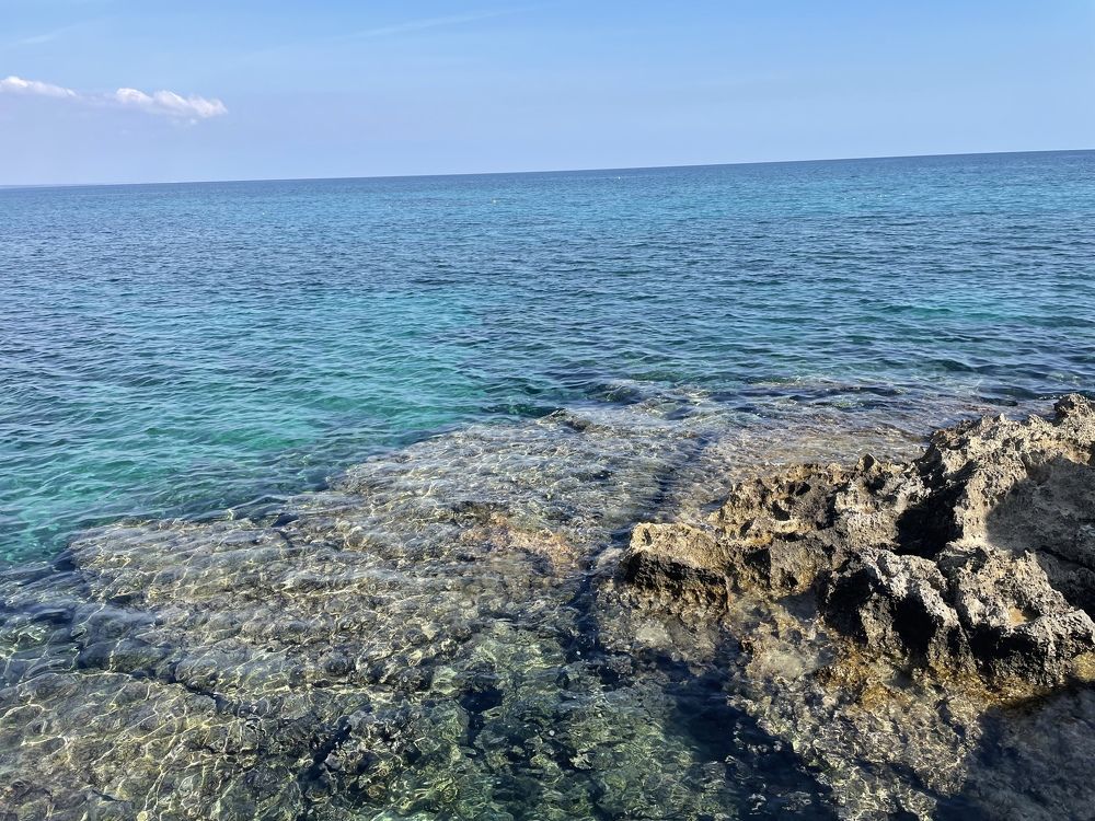 Photograph by Ирина Соловейченко