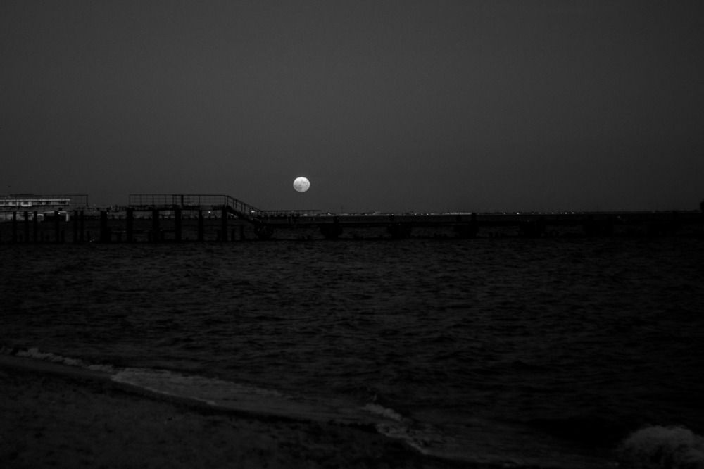 Photograph by Мария Баннова