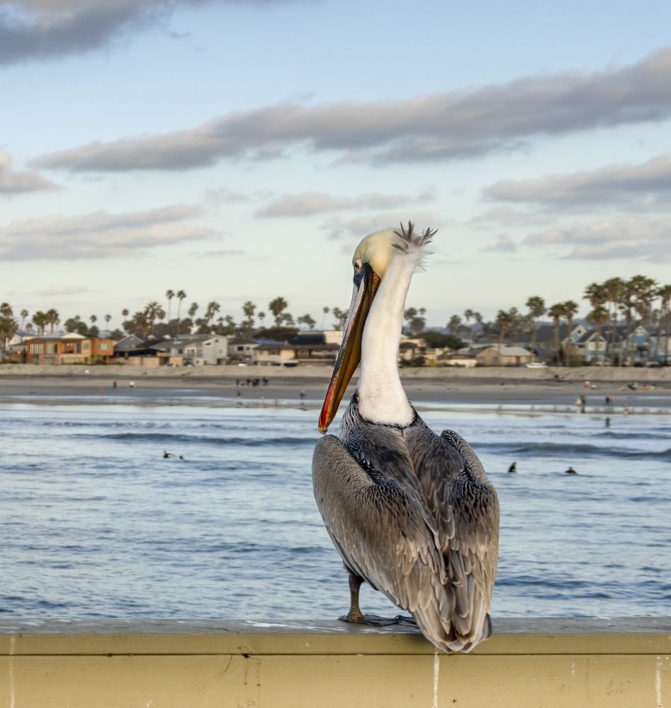 Photograph by Olga Serebryannaya