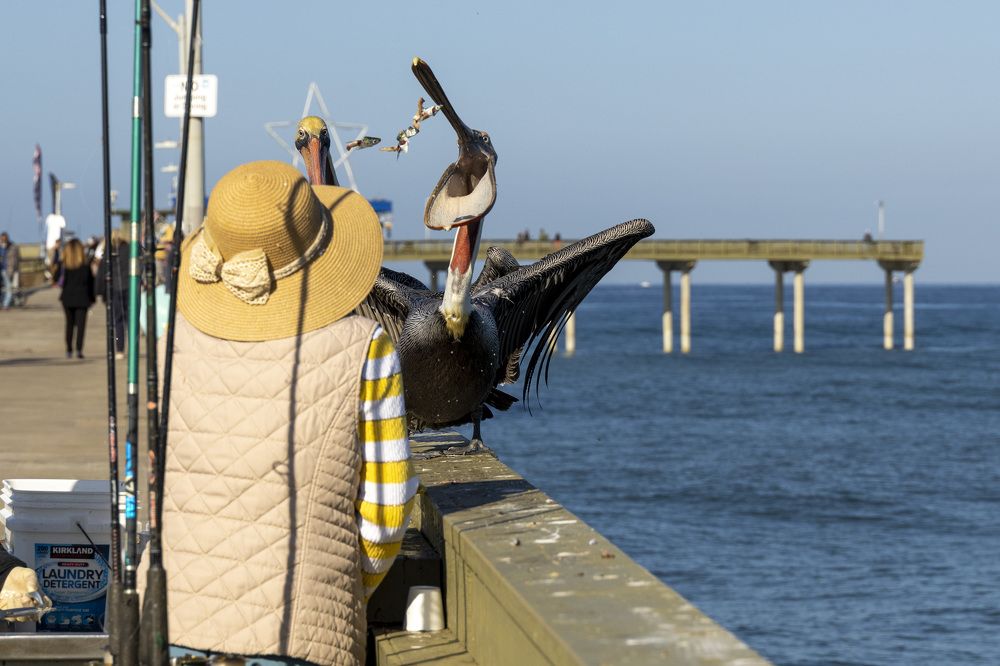 Photograph by Olga Serebryannaya