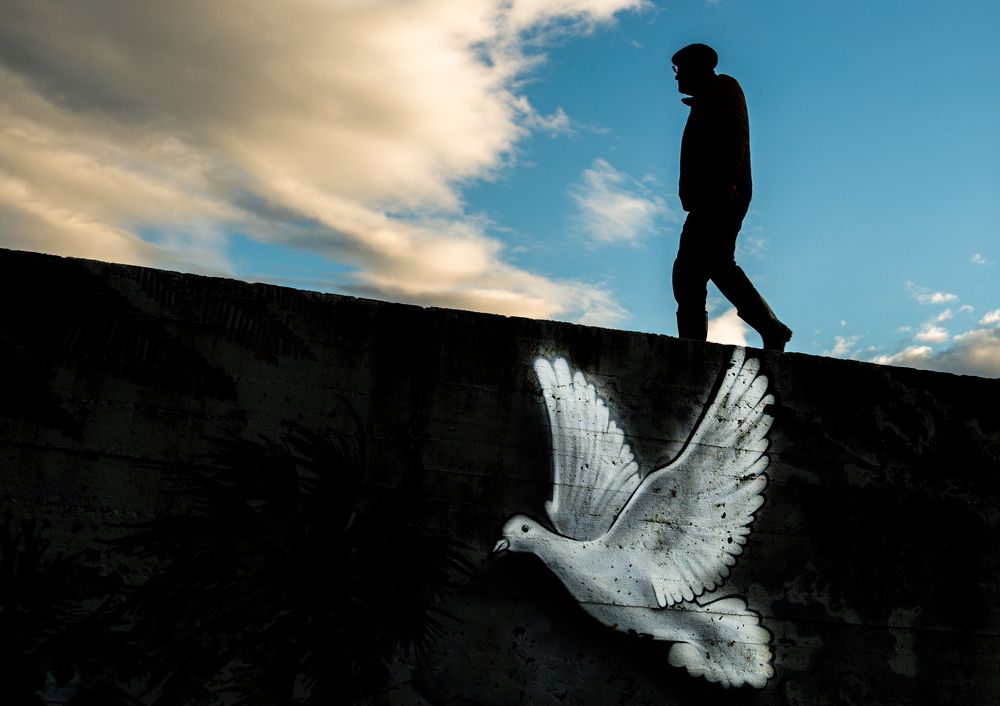 Photograph by Мария Шибанова