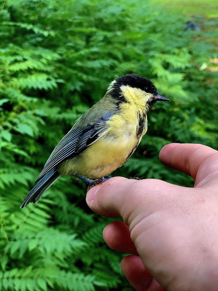 Photograph by Никита Манакин