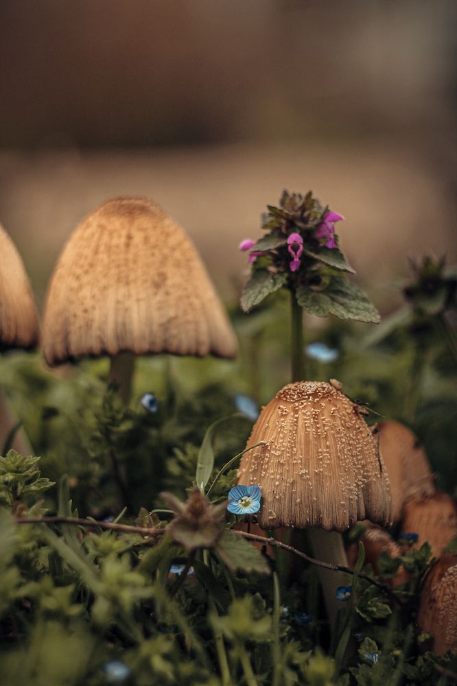 Photograph by Анна Тен