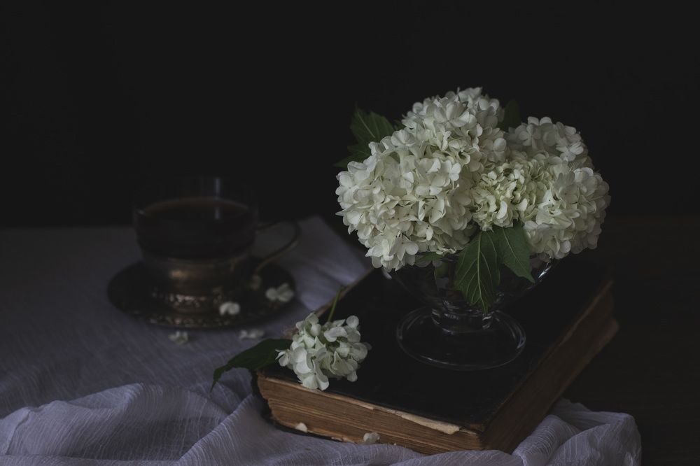 Photograph by Юлия Микульская