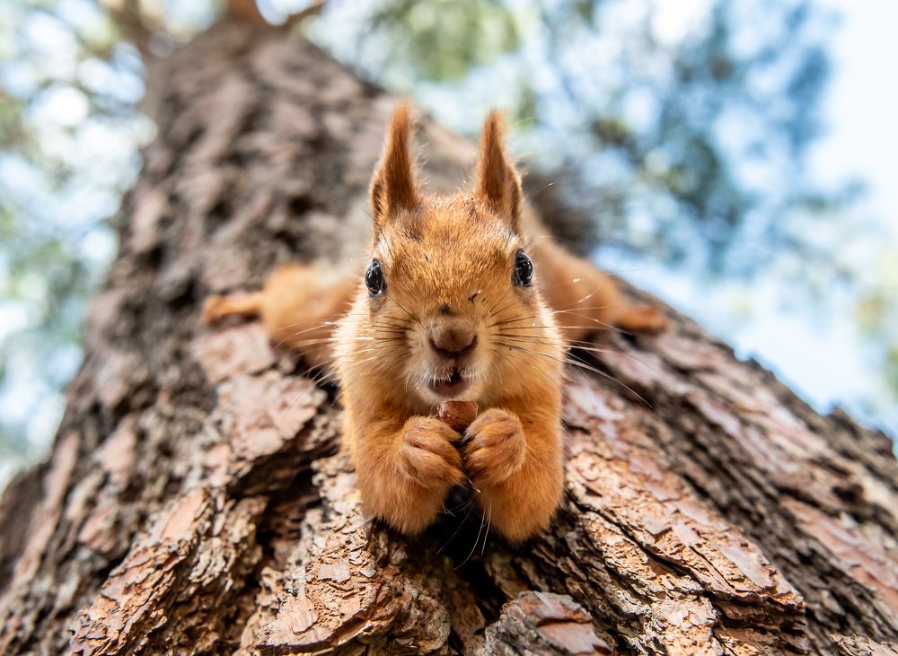 Photograph by Инна Толстореброва