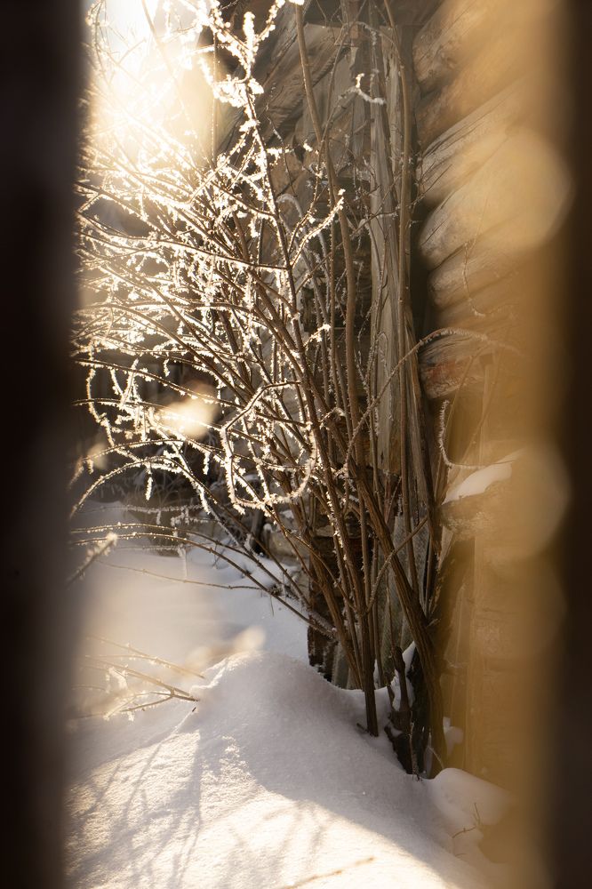 Photograph by Елизавета Фирстова