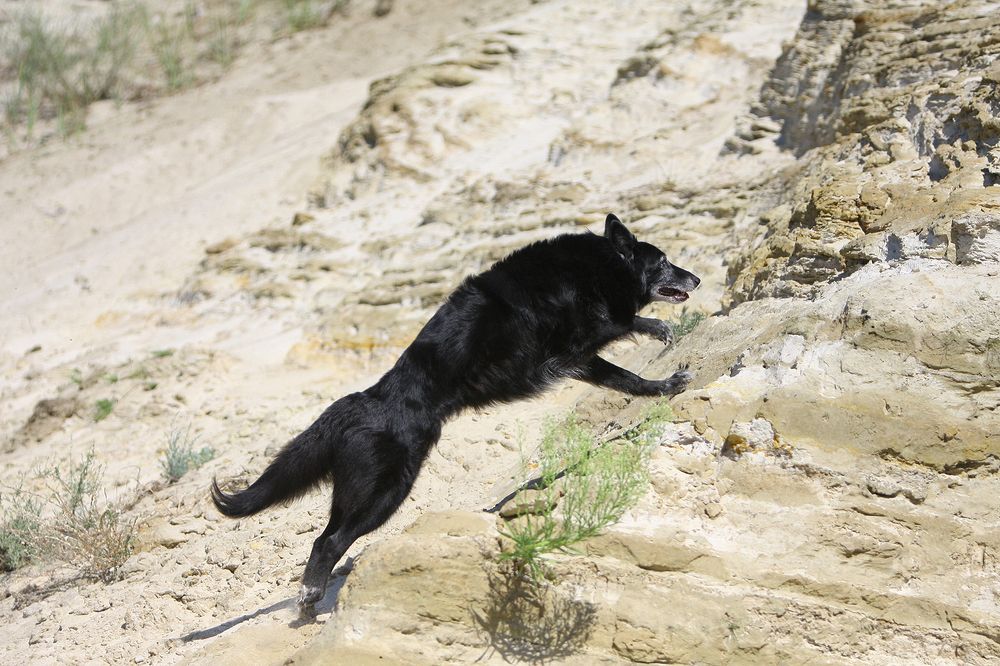 Фотография автора Надежда Лисицына