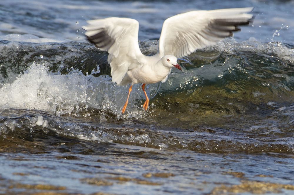 Photograph by Валентина Лопаткина