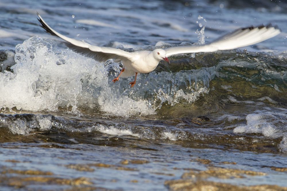 Photograph by Валентина Лопаткина