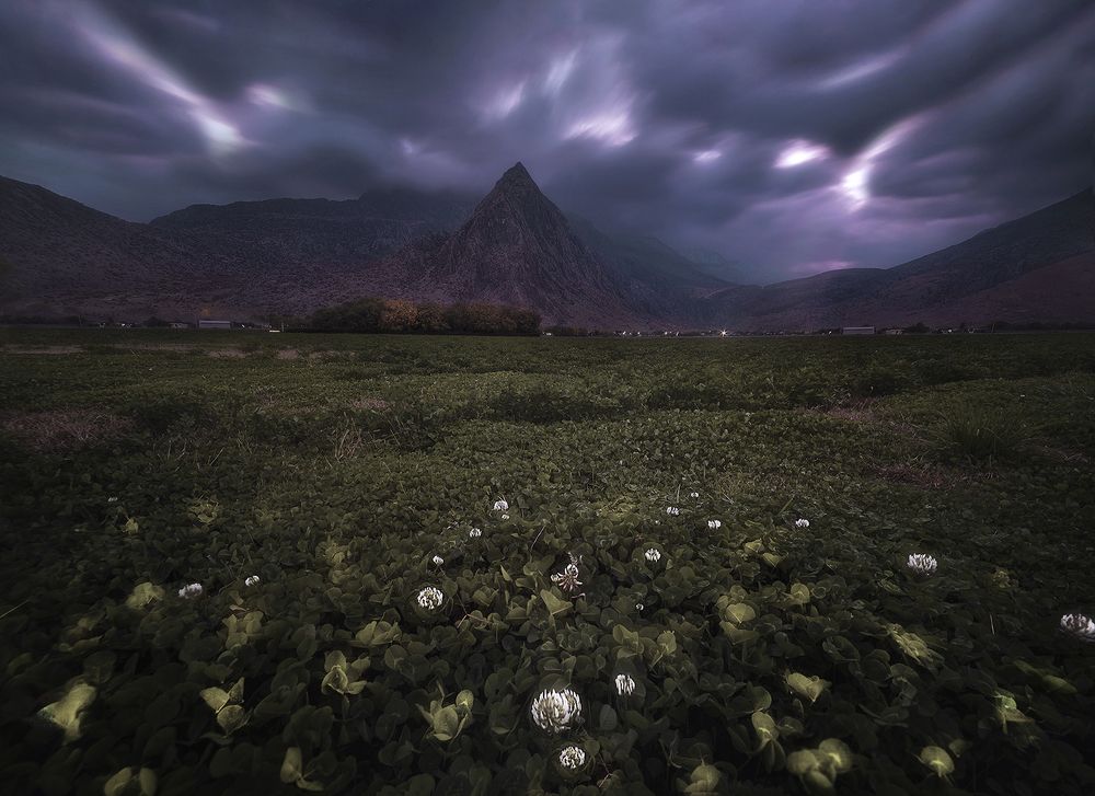 Photograph by Amir Eivany