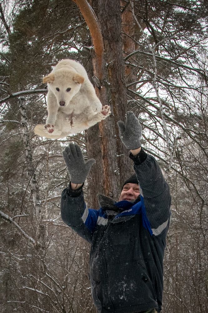 Photograph by Роман Раскошный