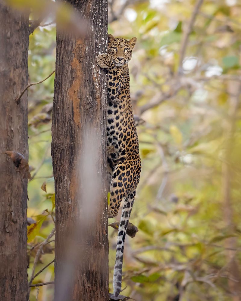 Photograph by Prashant Singh