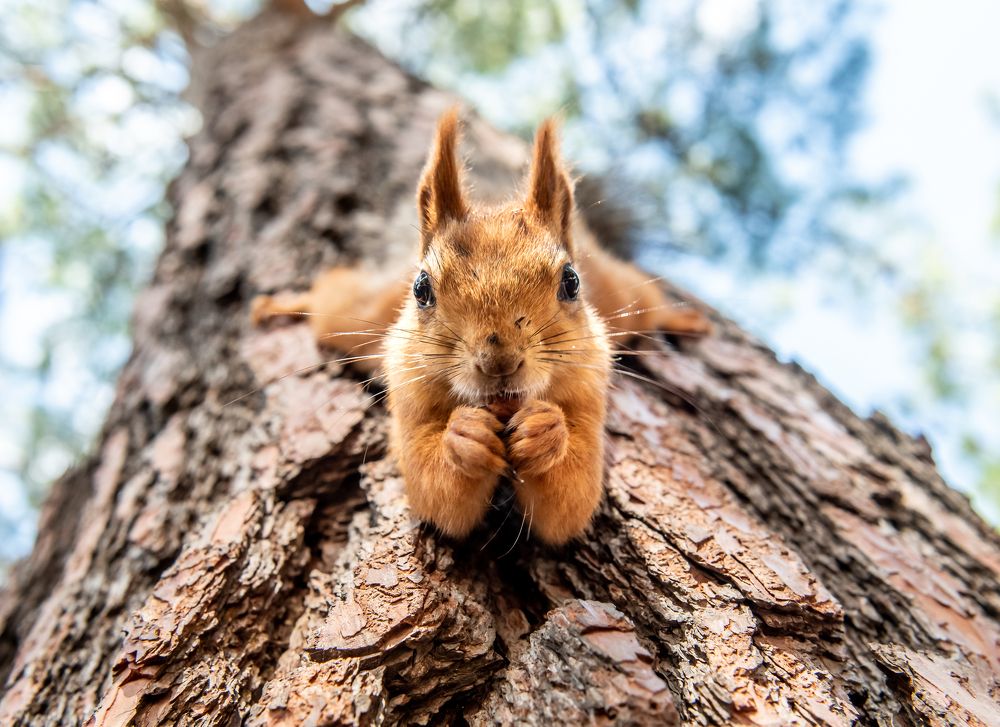 Photograph by Инна Толстореброва