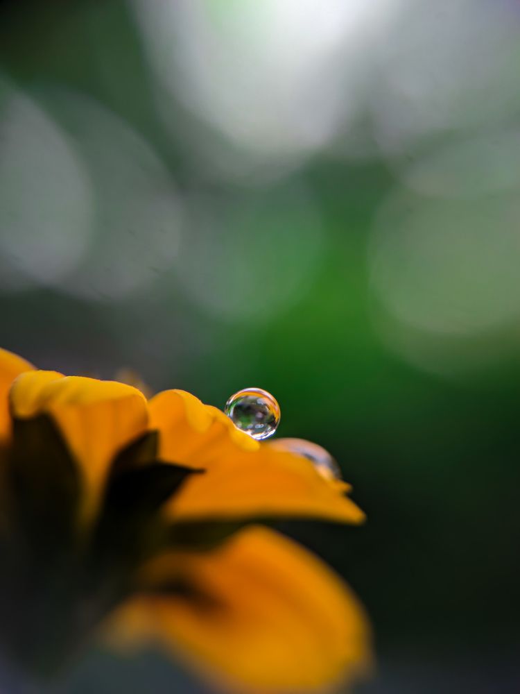 Photograph by Ajeesh A