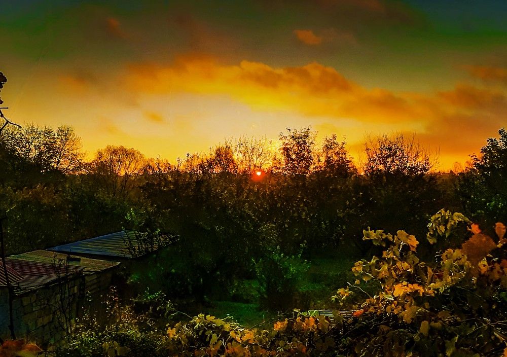 Photograph by Леонид Борисенко