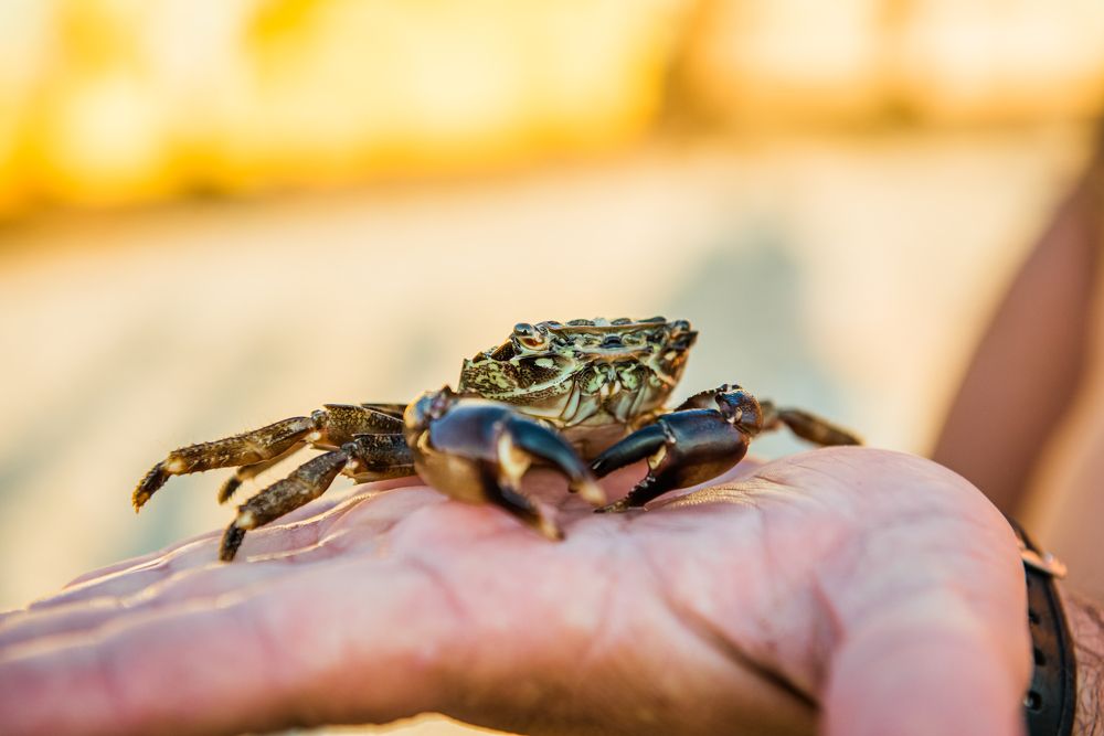 Photograph by Инна Толстореброва