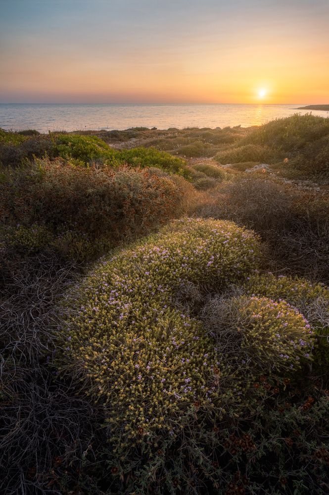 Photograph by Michele Illuzzi