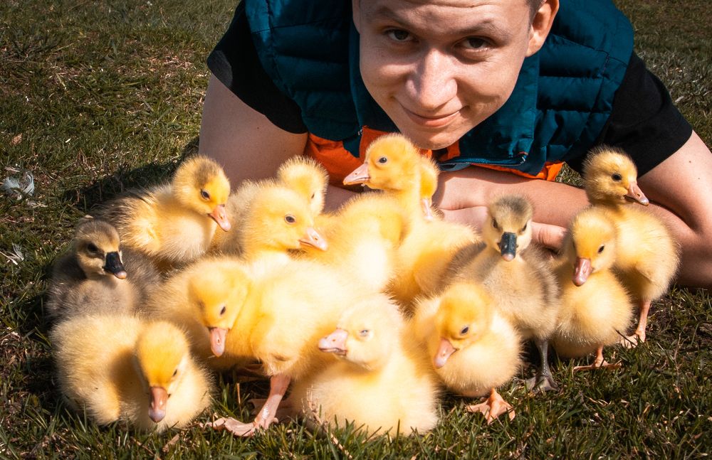 Photograph by Роман Раскошный