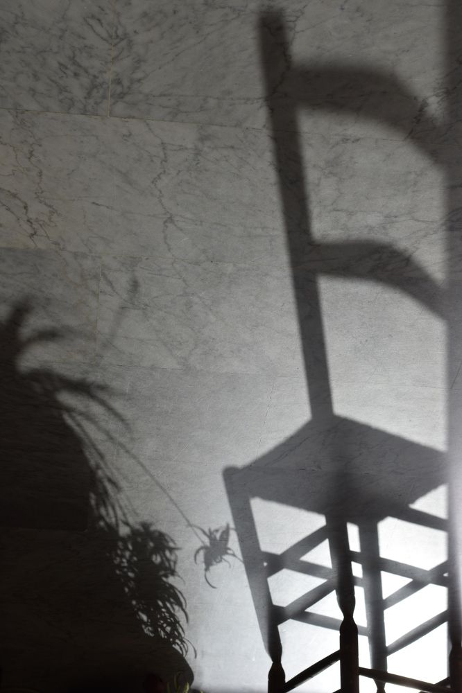 Photograph by Nayla helou