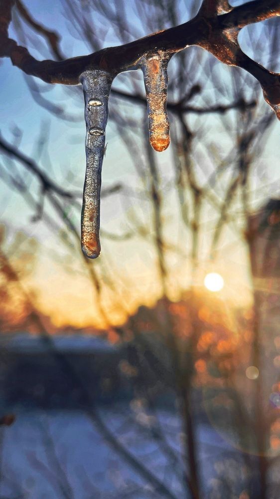 Photograph by Дарья Григорьева