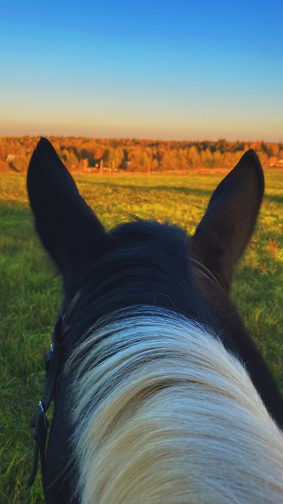 Photograph by Дарья Григорьева