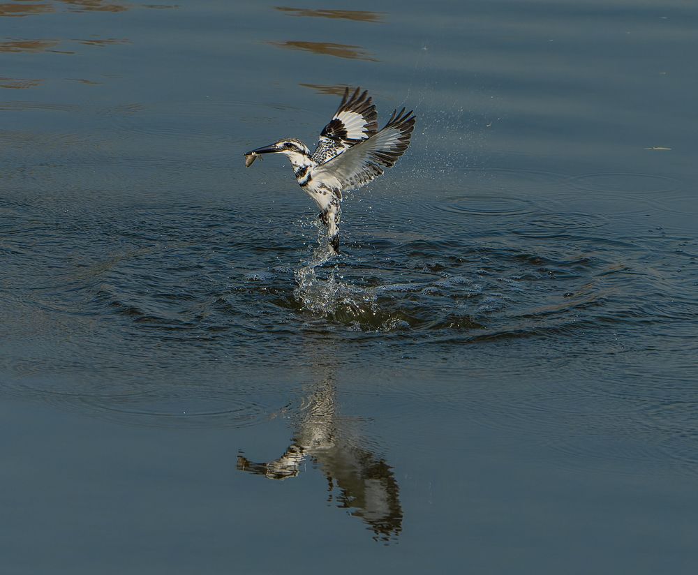 Photograph by Gagandeep Singh