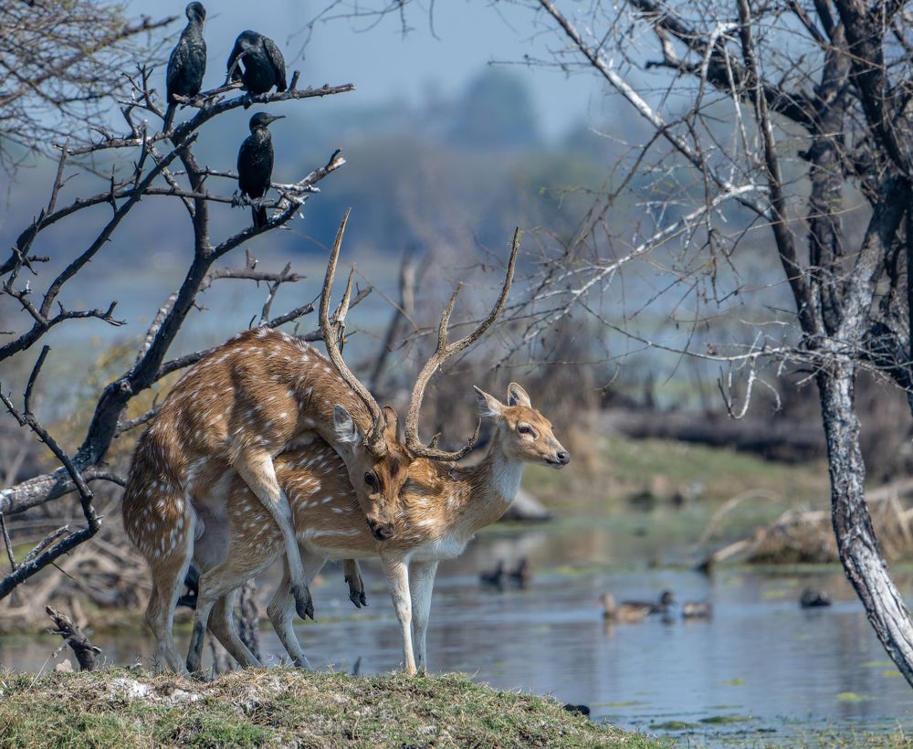 Photograph by Gagandeep Singh