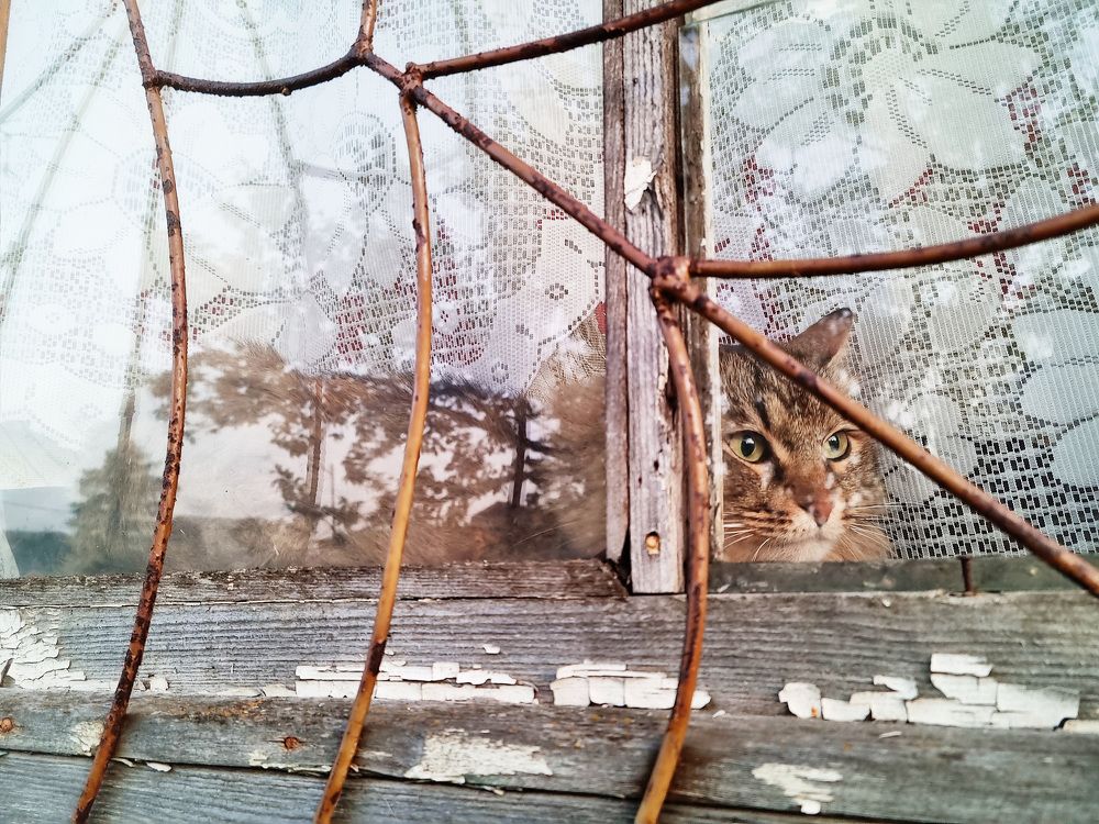 Маскировка!