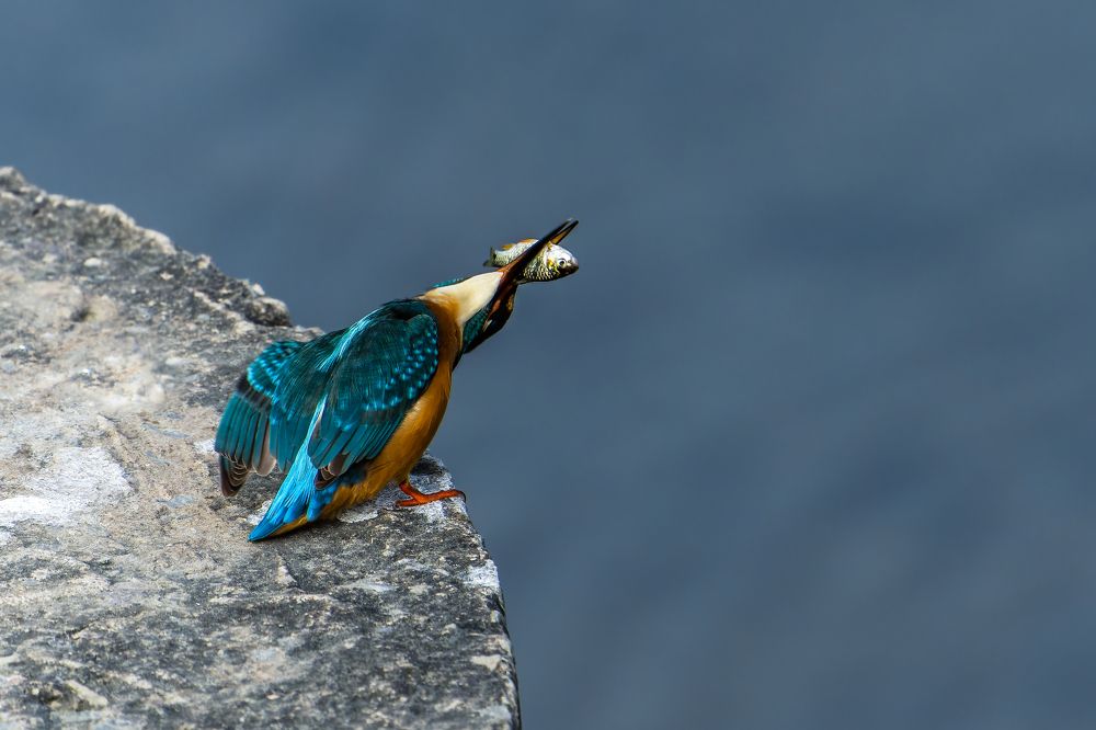 Photograph by Gagandeep Singh