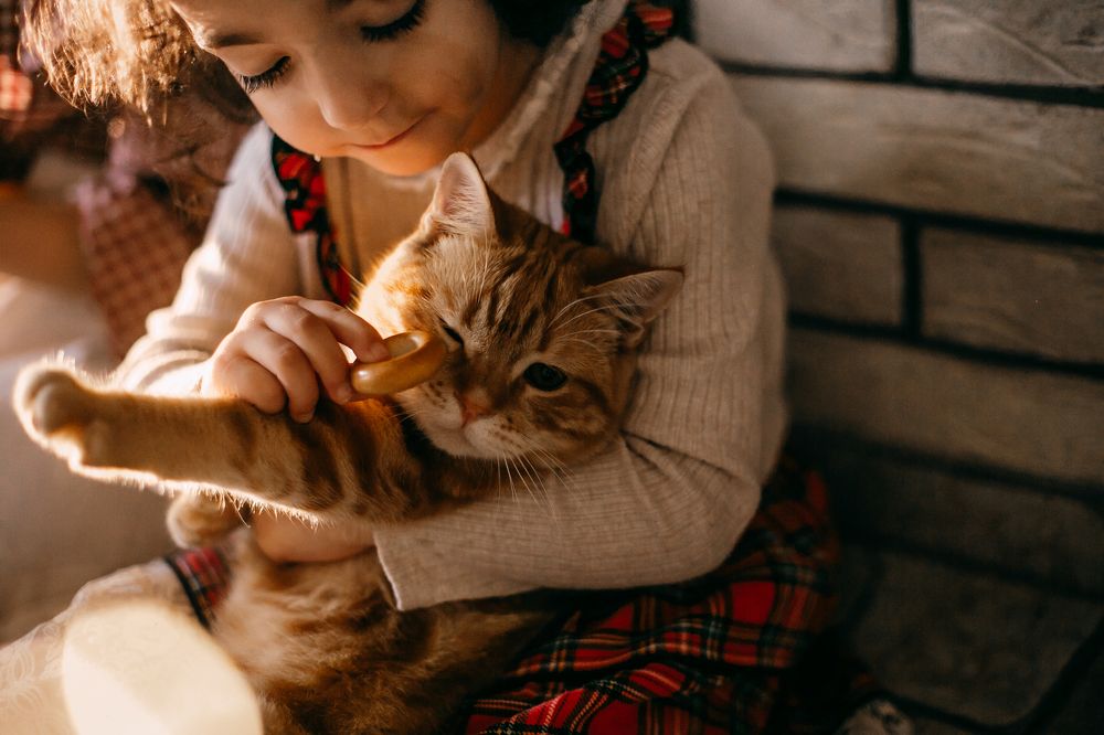 Photograph by Александра Алексеенко