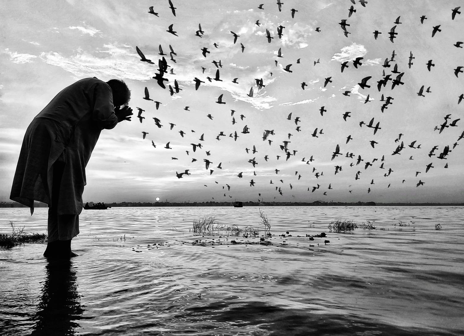Photo #7380677