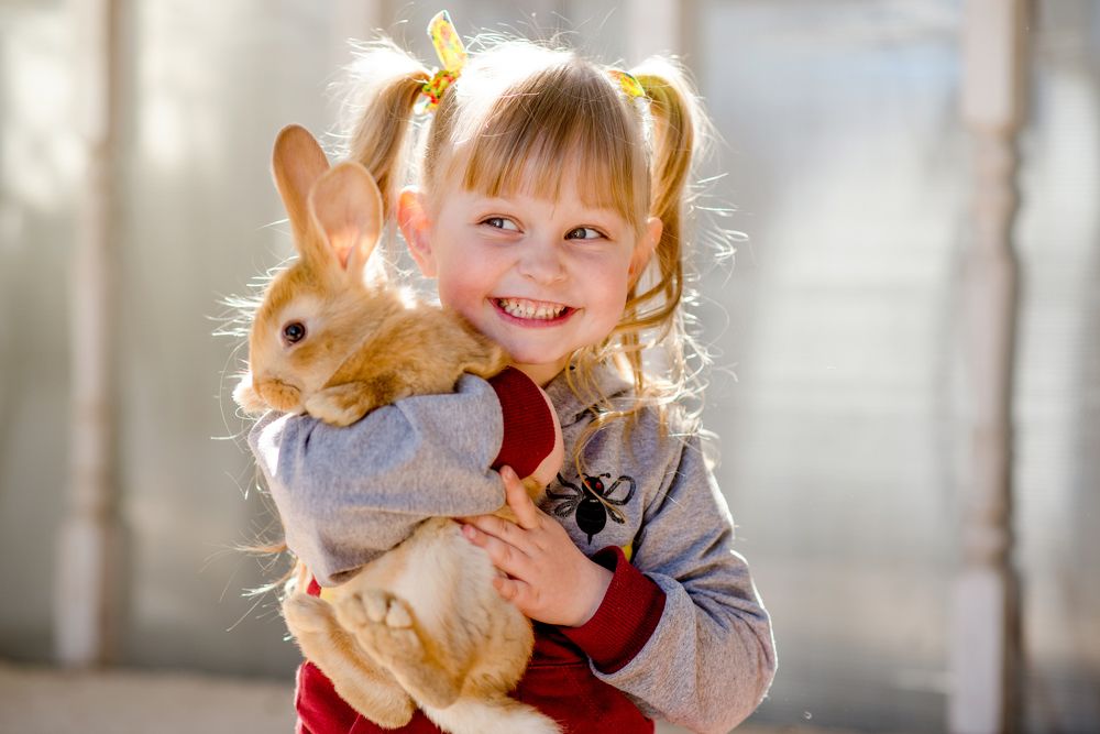 Фотография автора Полина Аксенова