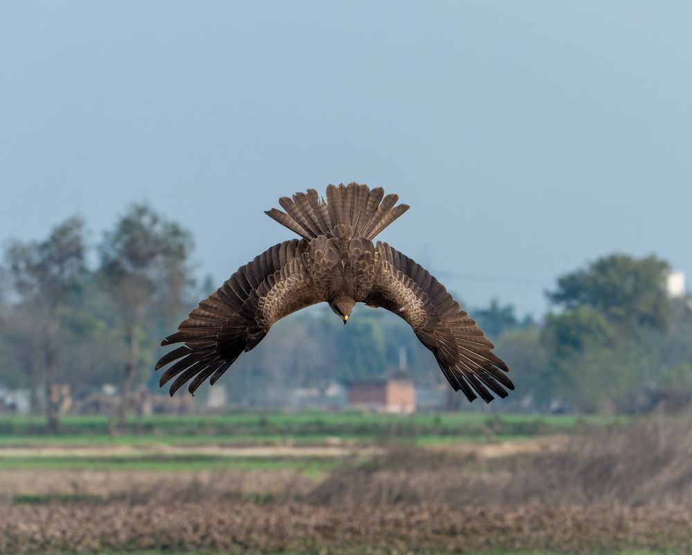 Photograph by Gagandeep Singh