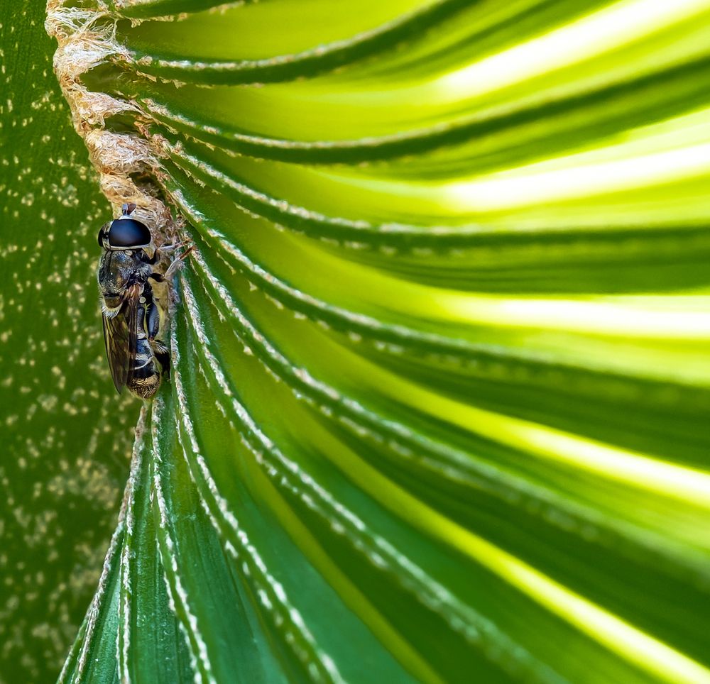 Photograph by Gagandeep Singh