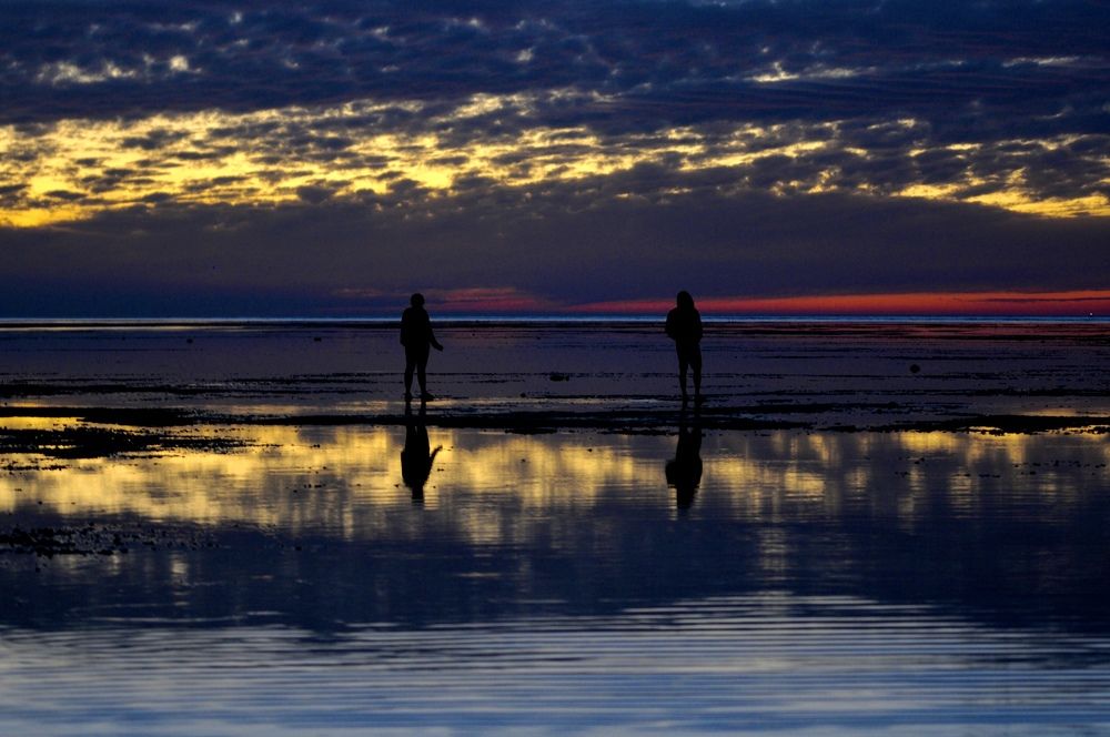 Photograph by Mojgan Sheykhi