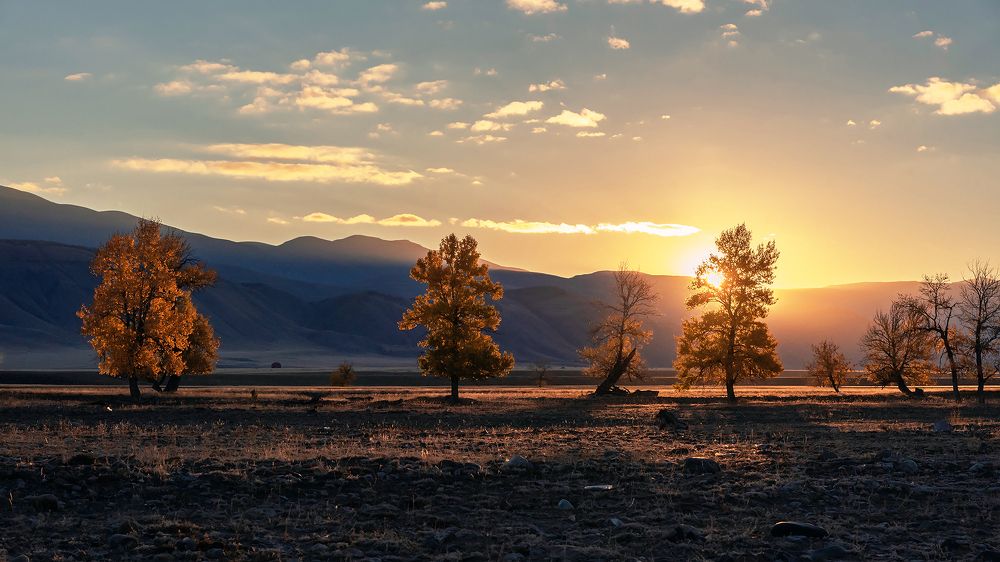 Рассвет в Курайской степи