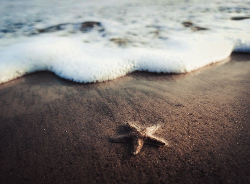 Photograph by SOUMADRI CHOWDHURY