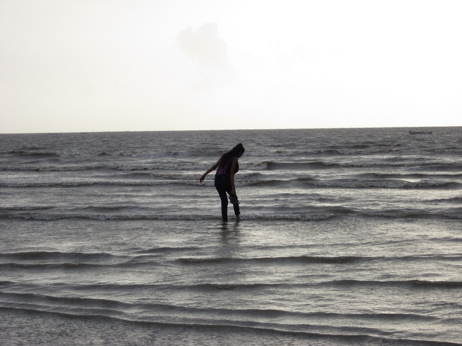 Photo #7380908