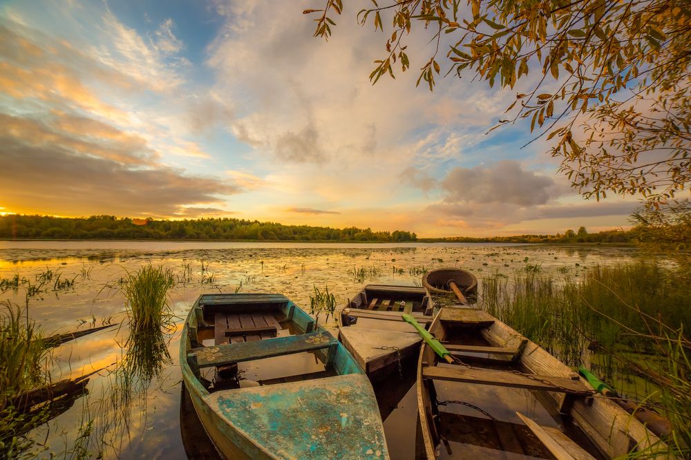 Photograph by Дмитрий Пасынков