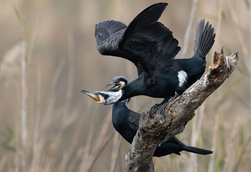 Photograph by Евгений Фруман