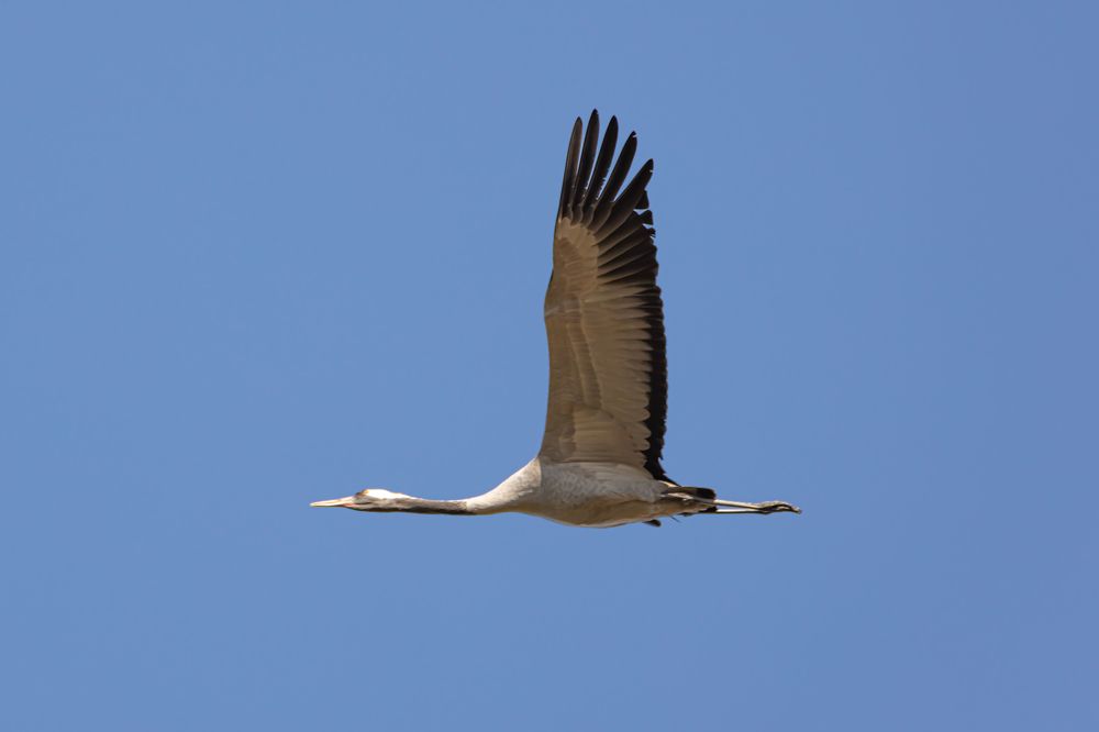 Photograph by KFIR HANUNOV