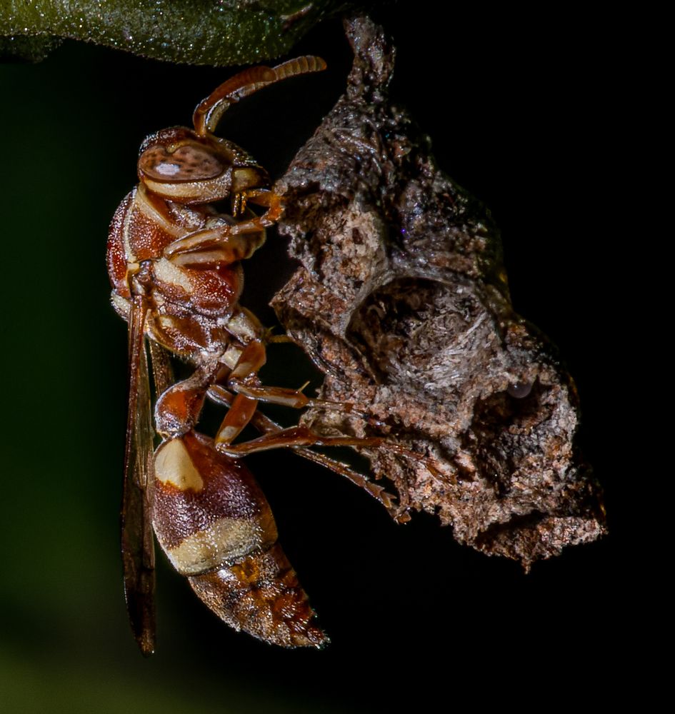 Photograph by Gagandeep Singh