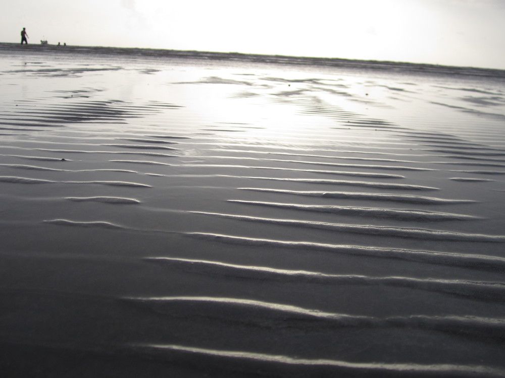 Photo #7380930