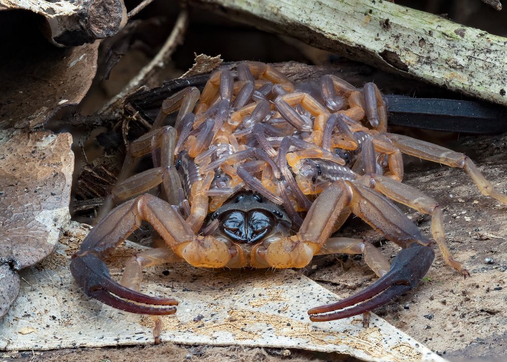 Photograph by Madhan Kumar Balaguru